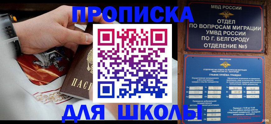 пропишу в квартире в Дмитрове
